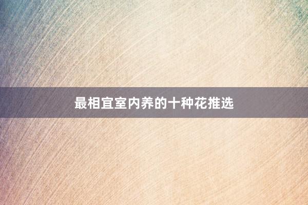 最相宜室内养的十种花推选