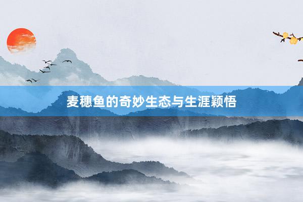 麦穗鱼的奇妙生态与生涯颖悟