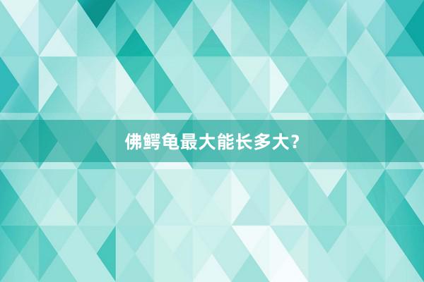 佛鳄龟最大能长多大？