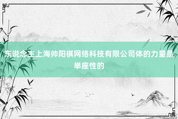 东说念主上海帅阳祺网络科技有限公司体的力量是举座性的