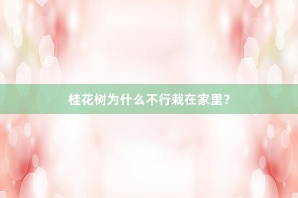 桂花树为什么不行栽在家里？