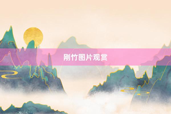 刚竹图片观赏