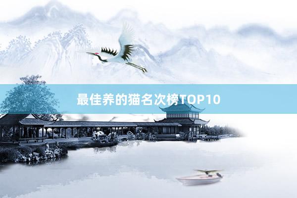 最佳养的猫名次榜TOP10